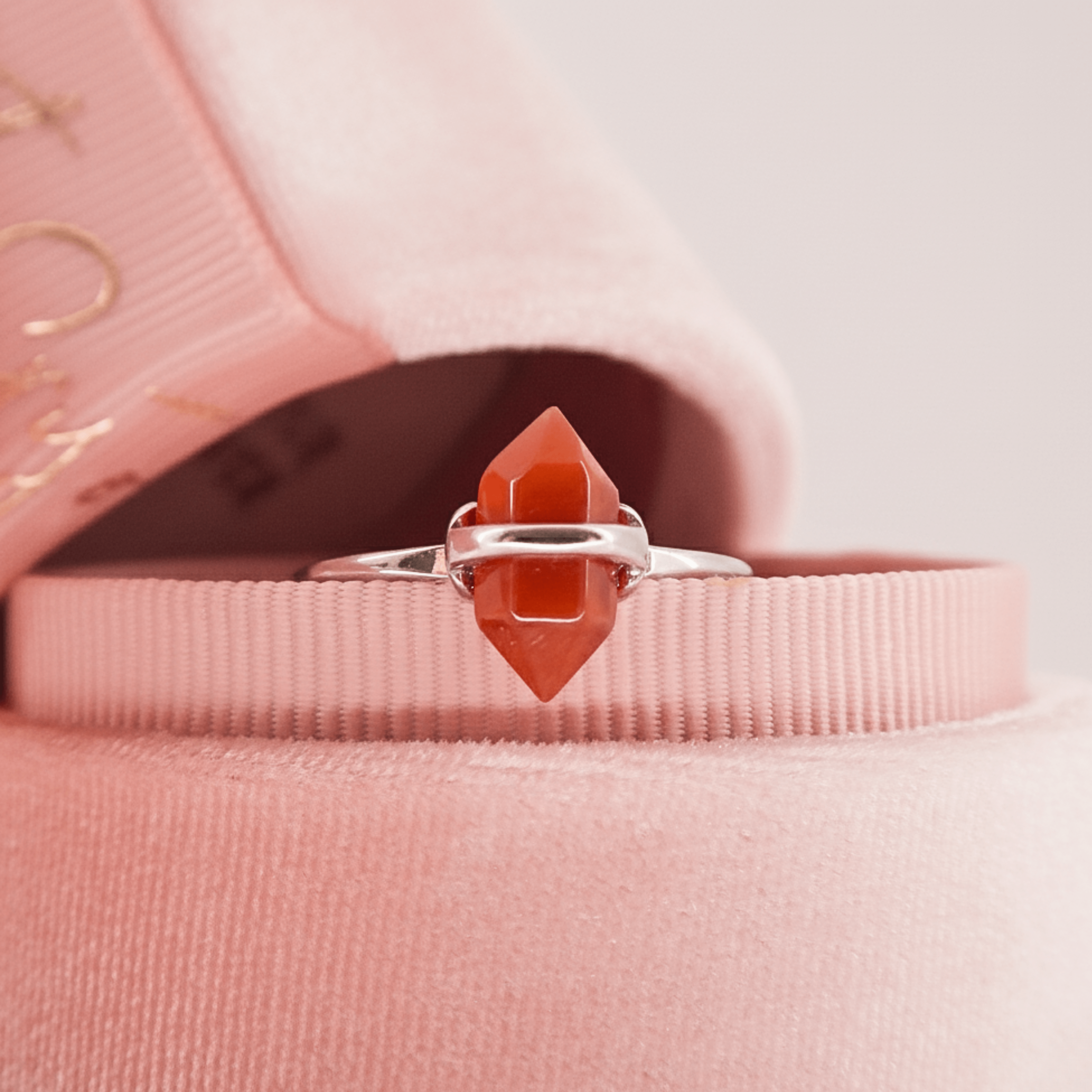 The Bad B*tch Ring (NEW!)